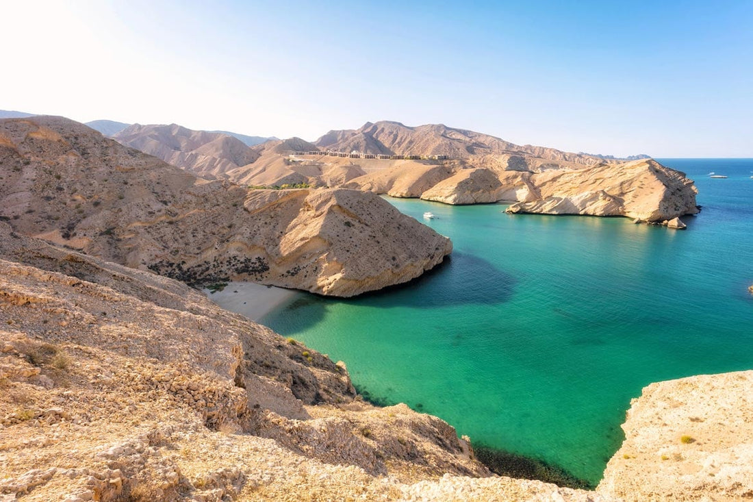 Top Brochure Design Agencies in Oman