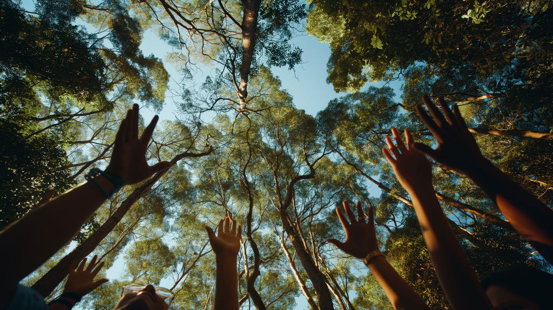 Top or Best Virtual Background Design Agencies and Companies in Erlanger, Kentucky