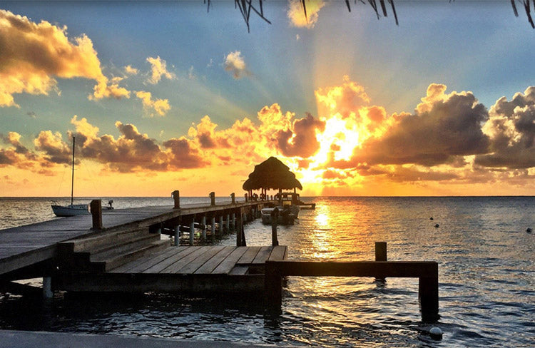 Top Design Agencies in Belize