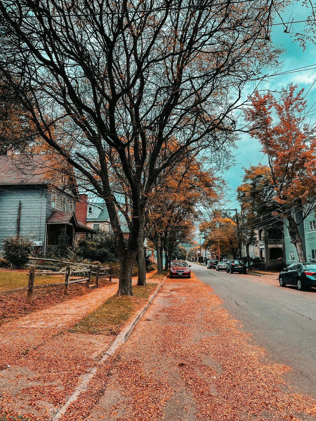 Top or Best Virtual Background Design Agencies and Companies in Middletown, New Jersey