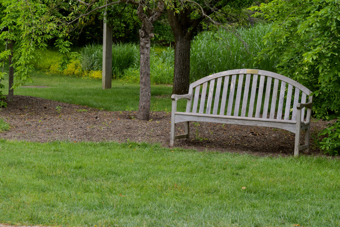 Top and Best Drawing and Illustration Agencies and Companies in Bayonne, New Jersey