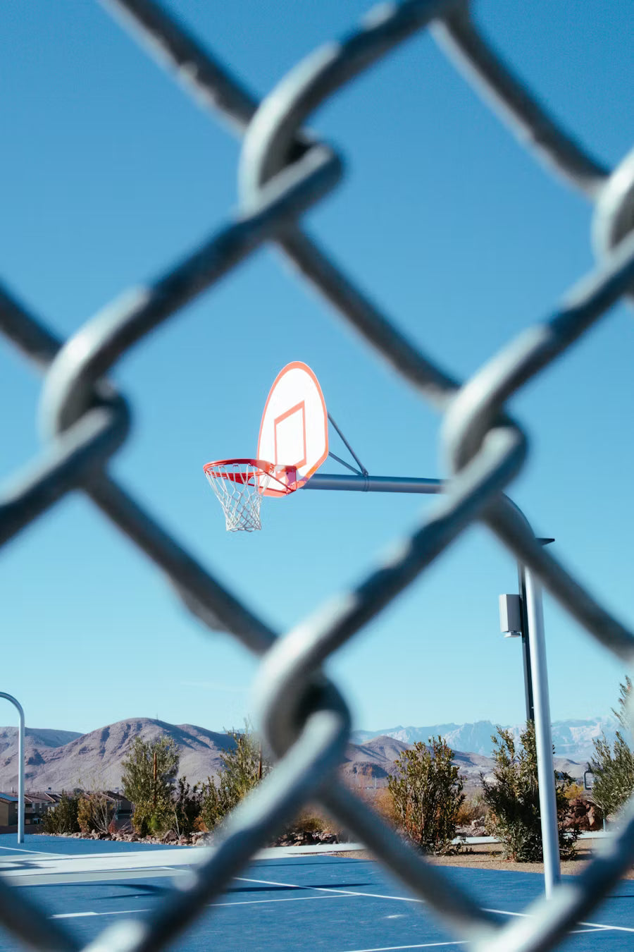 Who Is The Most Financially Successful Professional Athlete Of All Time?