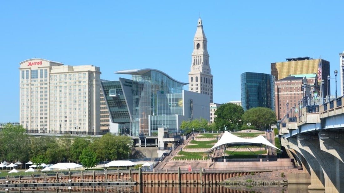 Top or Best Cartoons and Comics Agencies and Companies in East Hartford, Connecticut