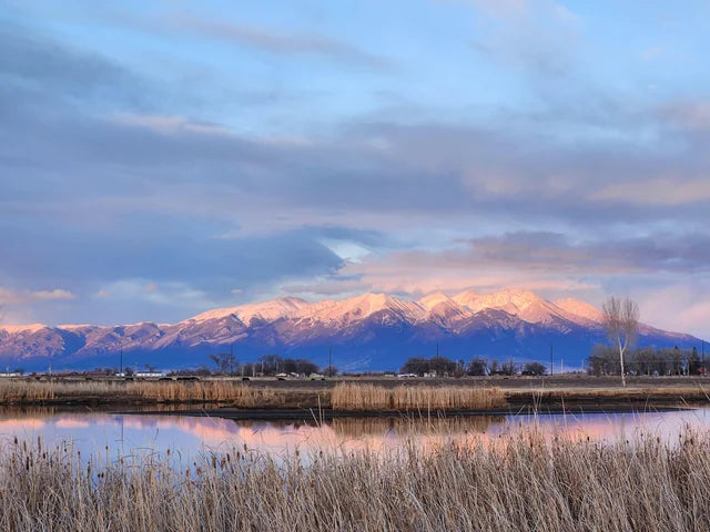 Top or Best App UI/UX Design Agencies and Companies in Centennial, Colorado