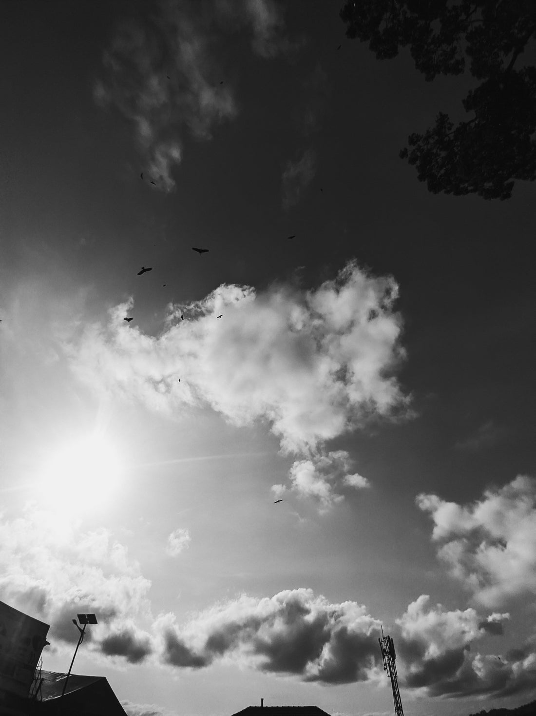 Top or Best NFT Art Agencies and Companies in Emporia, Kansas