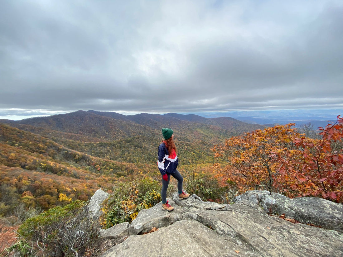 Top or Best Web & Mobile Design Agencies and Companies in Asheville, North Carolina