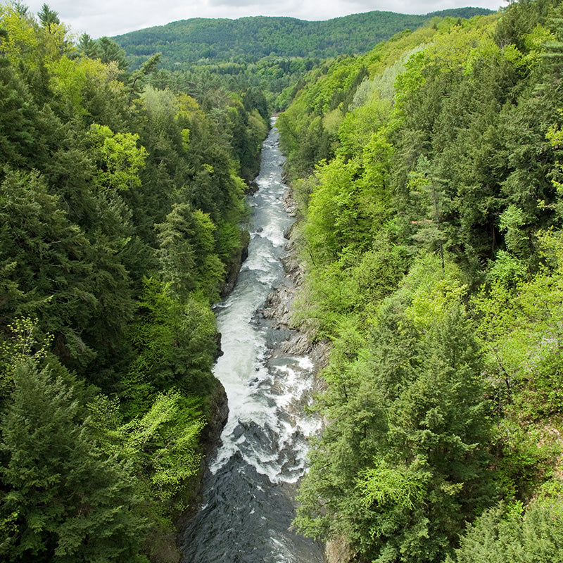 Top or Best Invitation Design Agencies and Companies in Hartford, Vermont