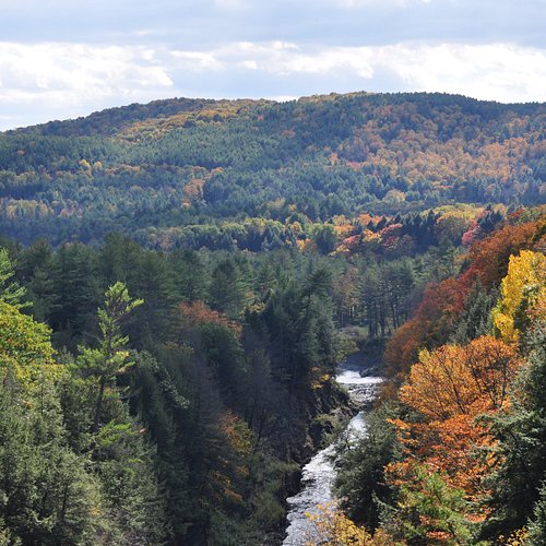 Top or Best Graphic Design Agencies and Companies in Hartford, Vermont