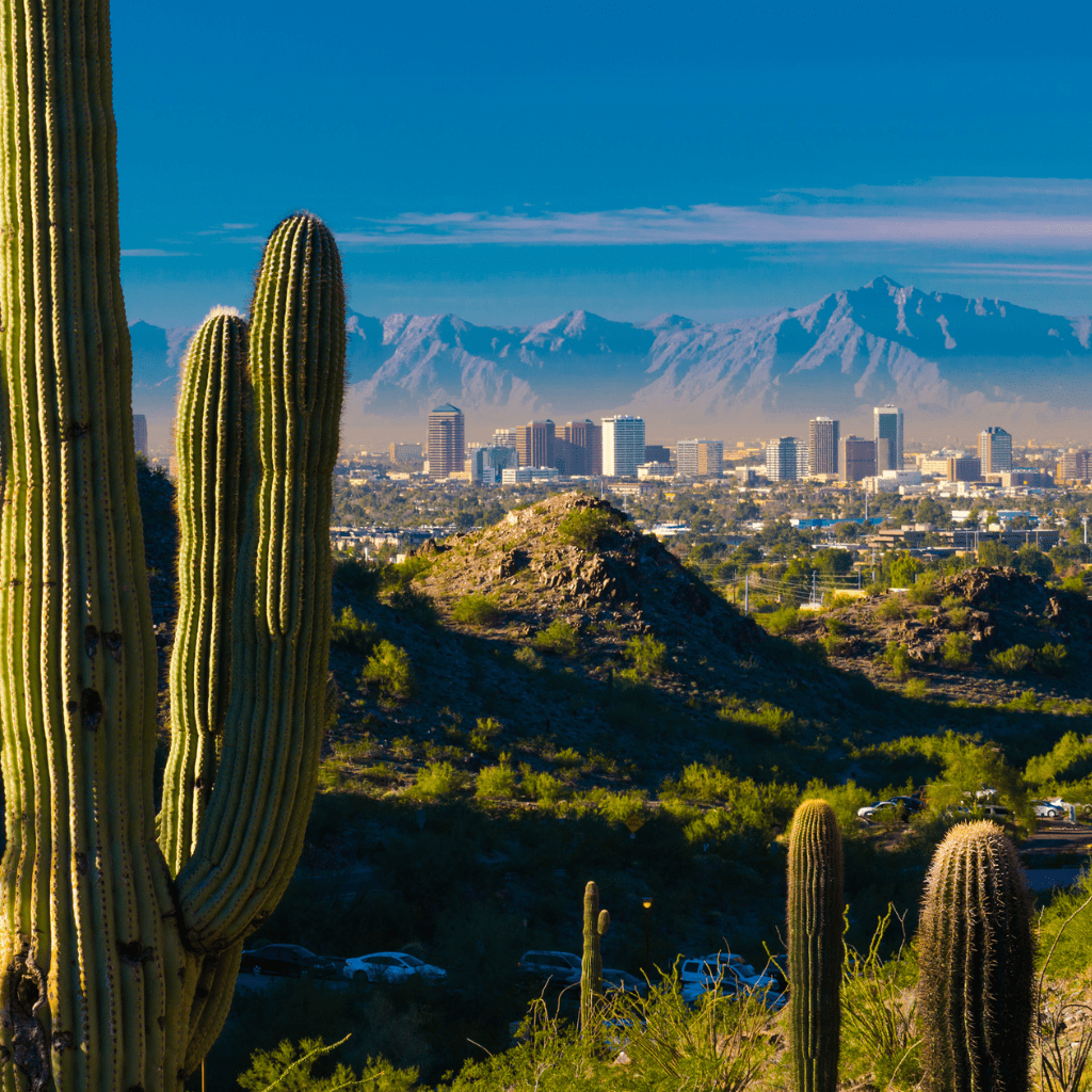 Top or Best App UI/UX Design Agencies and Companies in Queen Creek, Arizona