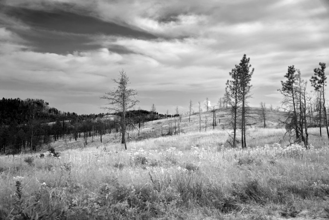 Top and Best Video Editing Agencies and Companies in Spearfish, South Dakota
