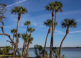 Top or Best Copywriting Agencies and Companies in Riverview, Florida