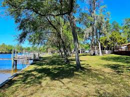 Top or Best Animation &amp; Motion Graphics Agencies and Companies in Riverview, Florida