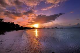 Top or Best Portrait and Caricature Agencies and Companies in Riverview, Florida