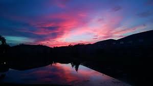 Top or Best Cartoons and Comics Agencies and Companies in Riverview, Florida