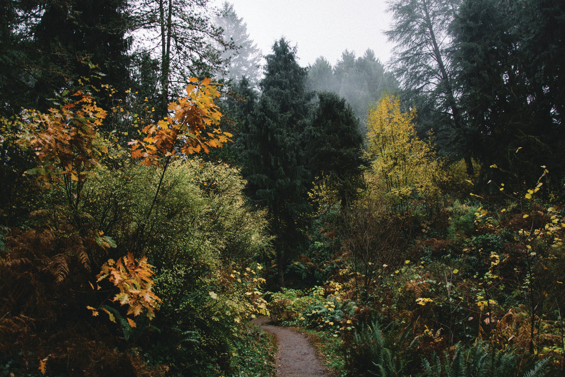 Top and Best Graphic Design Subscription Agencies and Companies in Hillsboro, Oregon