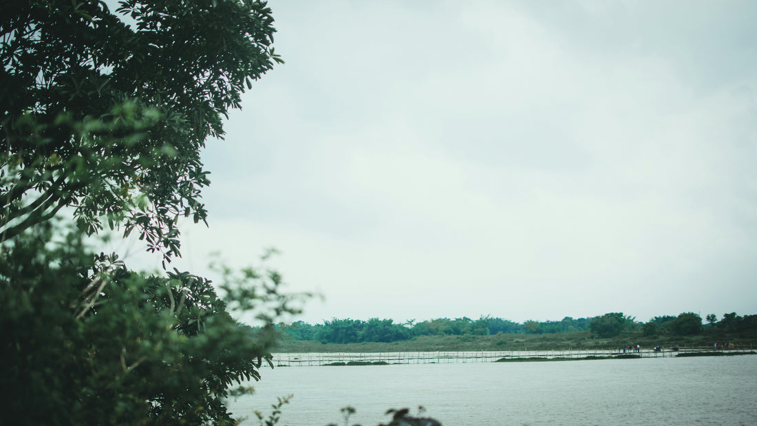 Top or Best Graphic Design Agencies and Companies in Horn Lake, Mississippi