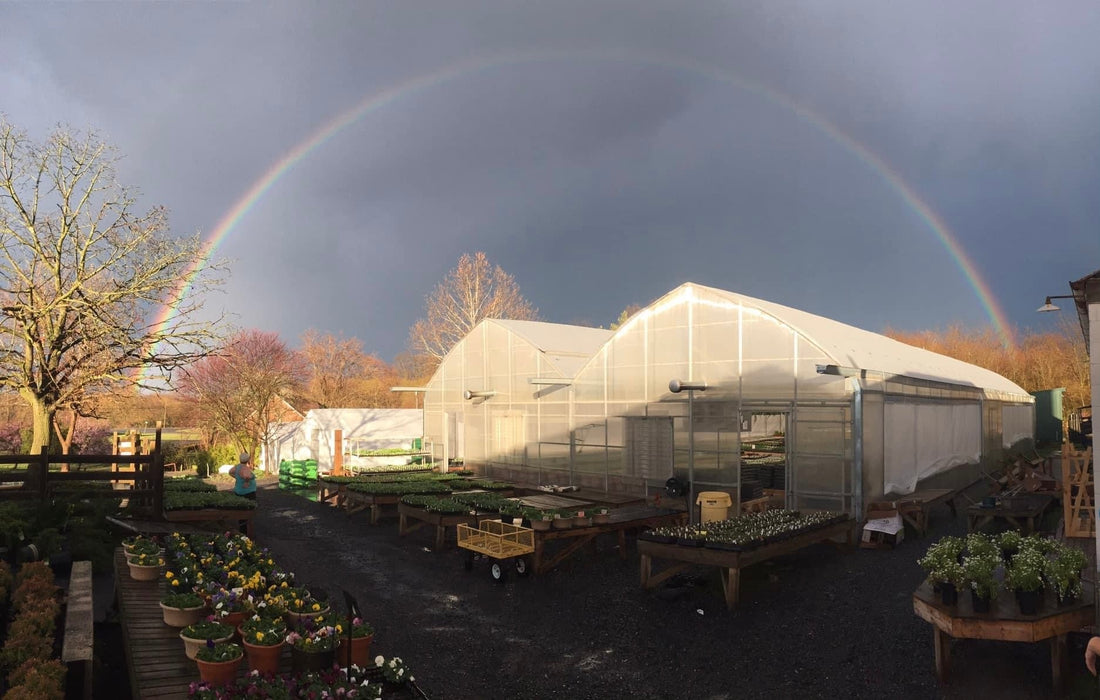 Top or Best Menu Design Agencies and Companies in Martinsburg, West Virginia