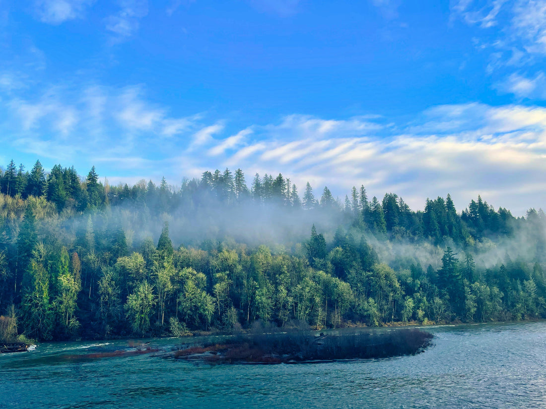 Top and Best NFT Art Agencies and Companies in Gresham, Oregon