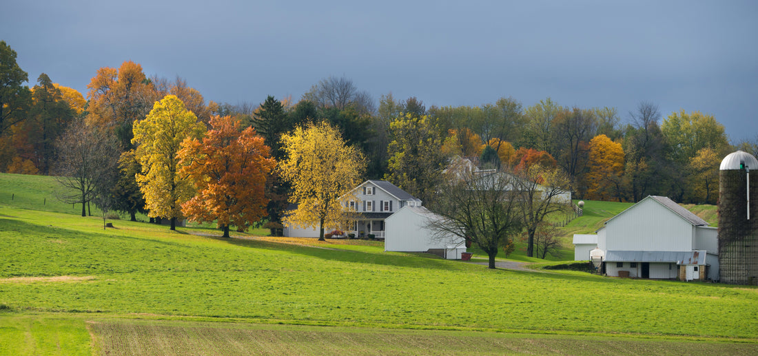 Top and Best Twitch Management Agencies and Companies in Old Bridge, New Jersey