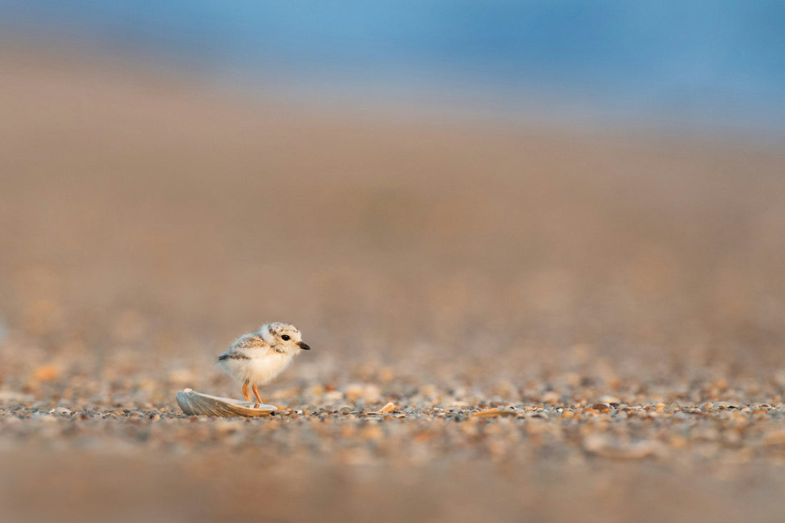 Top or Best Website Design Agencies and Companies in Middletown, New Jersey