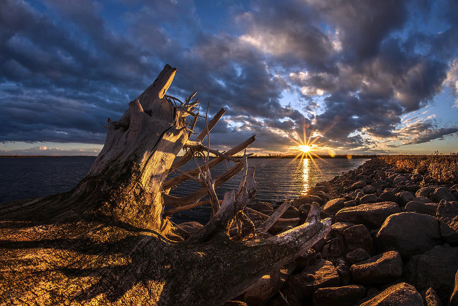 Top or Best Instagram Management Agencies and Companies in Devils Lake, North Dakota