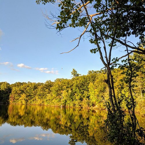 Top or Best Brand Identity Packages Agencies and Companies in Malden, Massachusetts