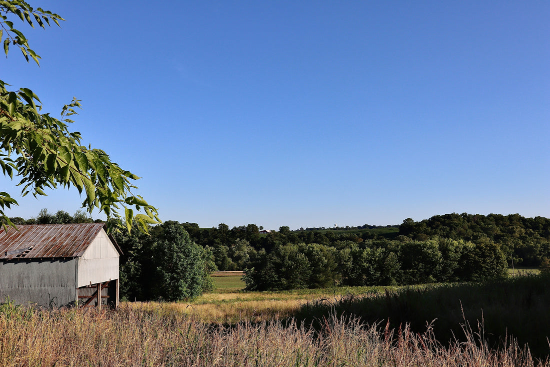 Top or Best TikTok Management Agencies and Companies in Emporia, Kansas