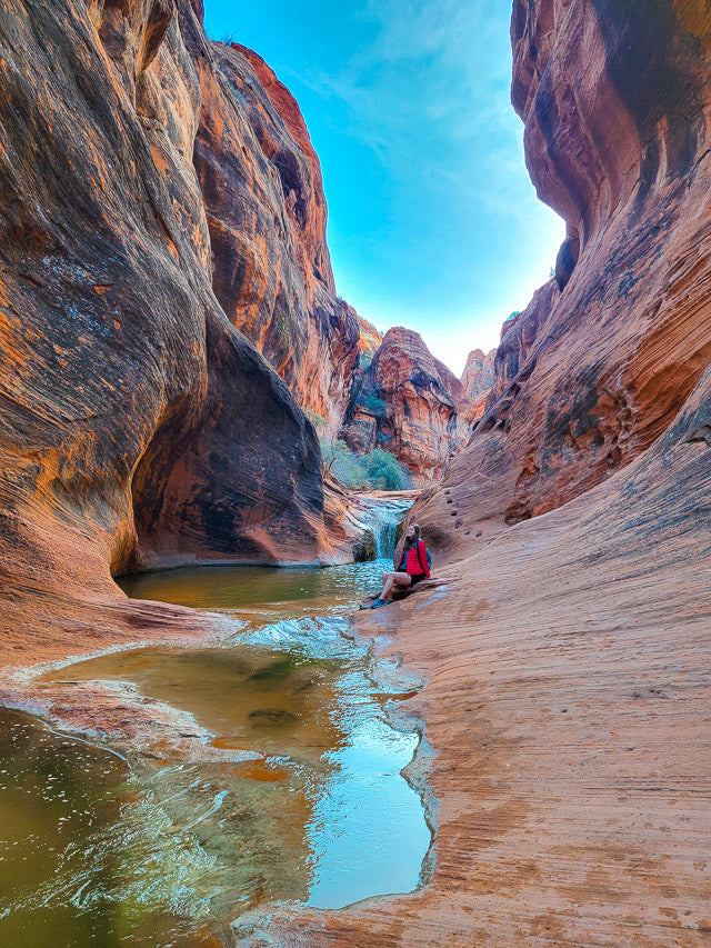 Top or Best Infographic Design Agencies and Companies in St. George, Utah