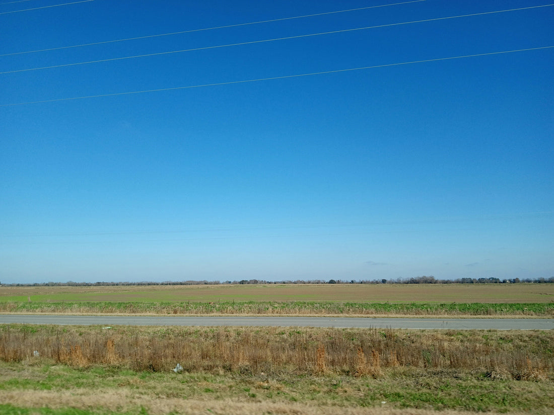 Top or Best Copywriting Agencies and Companies in Kenner, Louisiana