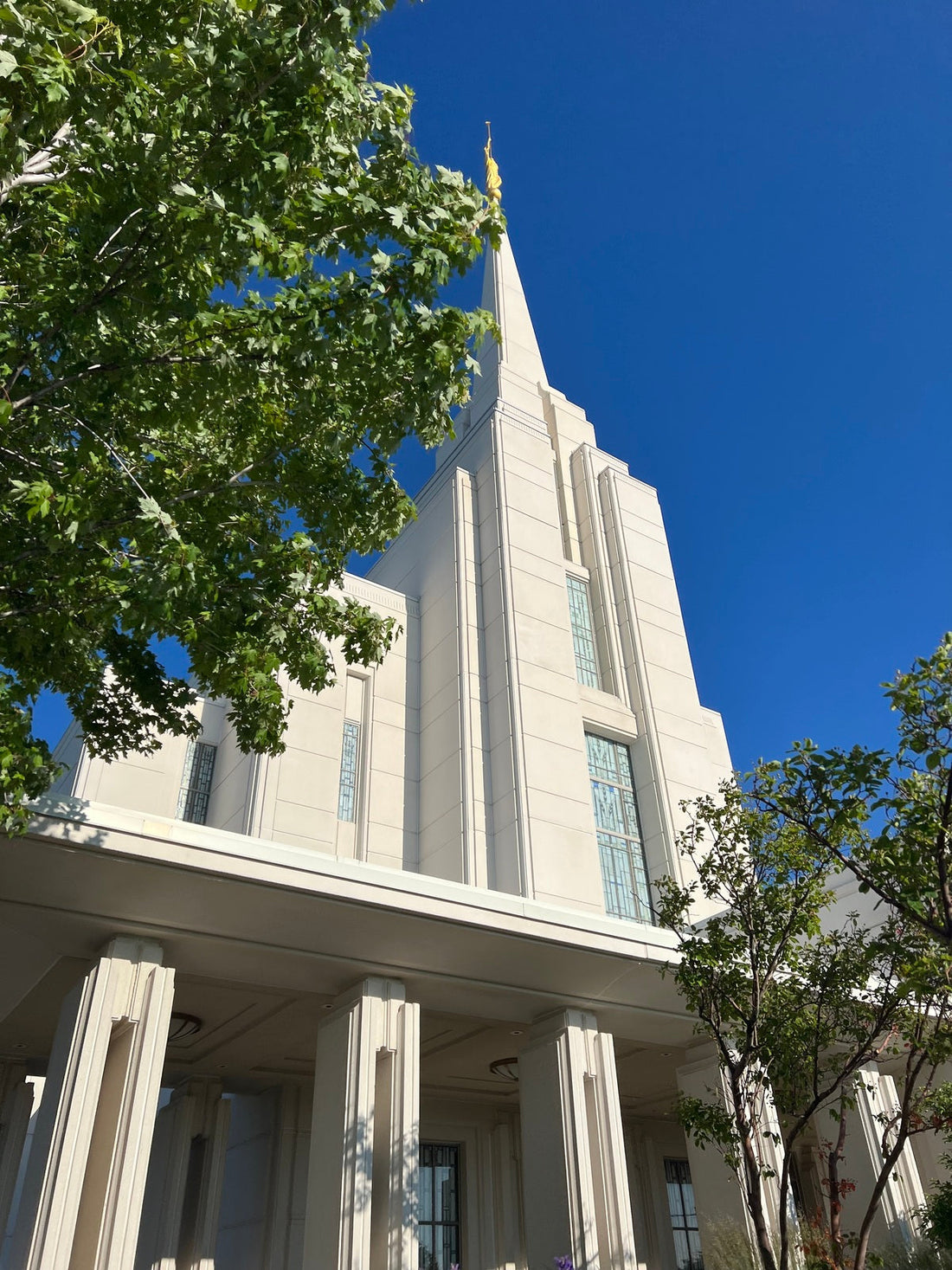 Best or Top Infographic Design Agencies and Companies in Rexburg, Idaho