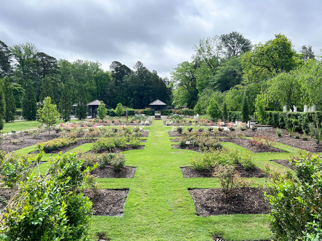 Top or Best Poster Design Agencies and Companies in Winston-Salem, North Carolina