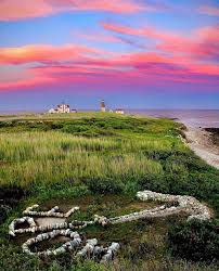 Best Instagram Management Companies in Rhode Island