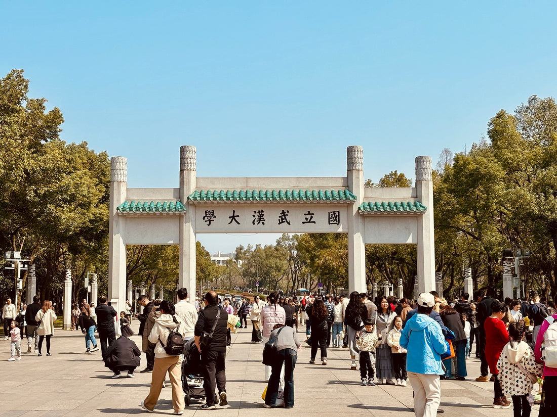 Top Catalog Design Agencies and Companies in Wuhan, China