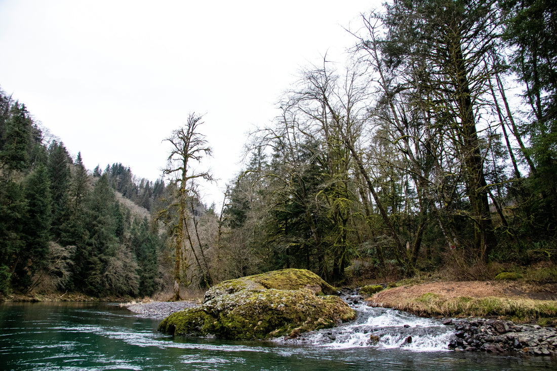 Top or Best Copywriting Agencies and Companies in Springfield, Oregon