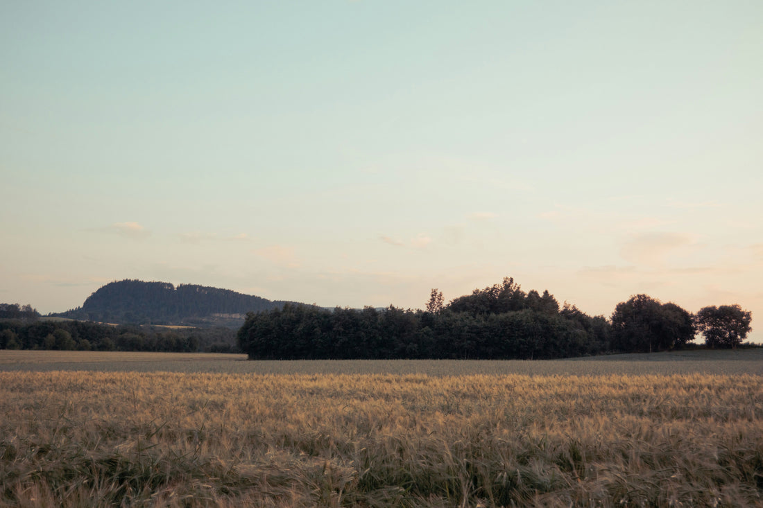 Top or Best Cartoons and Comics Agencies and Companies in Emporia, Kansas