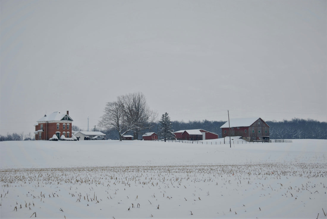 Top and Best Instagram Management Agencies and Companies in Franklin Township, New Jersey