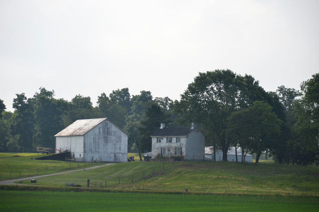 Top and Best Tattoo Design Agencies and Companies in Franklin Township, New Jersey