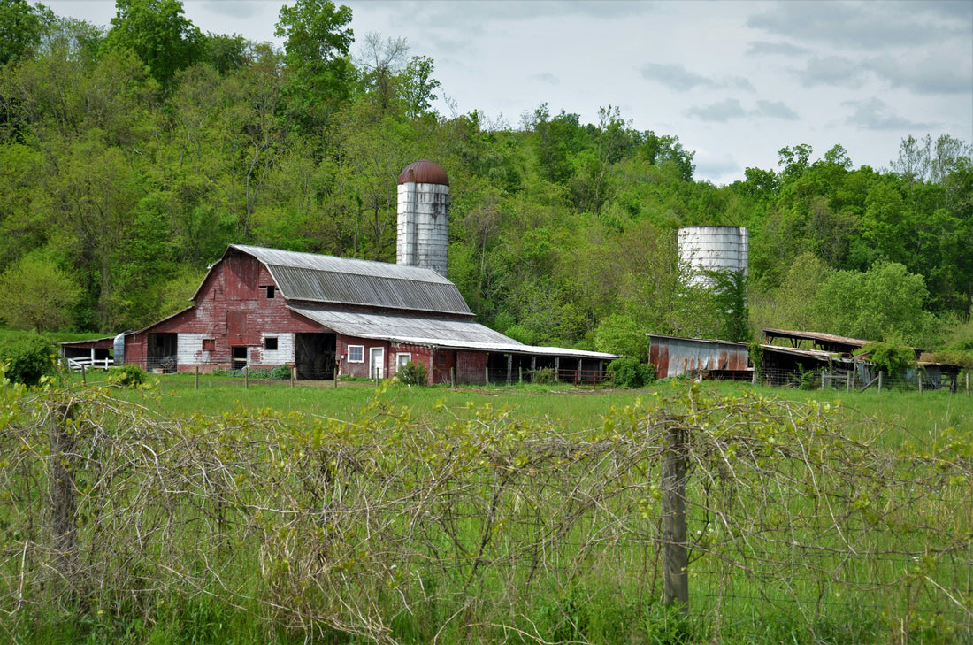 Top and Best NFT Art Agencies and Companies in Old Bridge, New Jersey