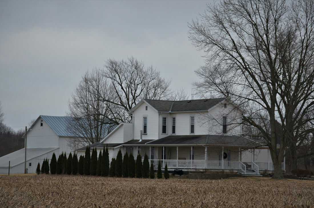 Top and Best Brand Identity Package Agencies and Companies in Middletown, New Jersey