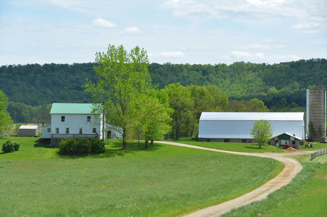 Top and Best Direct Mail Design Agencies and Companies in Franklin Township, New Jersey