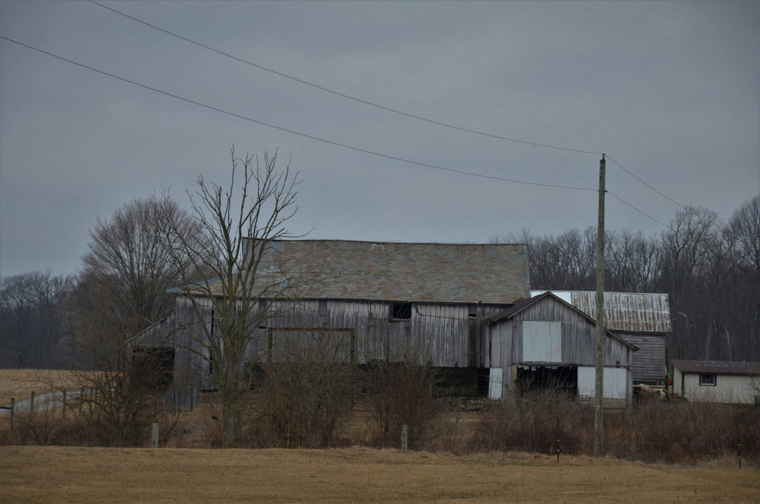 Top and Best Mural Design Agencies and Companies in Old Bridge, New Jersey