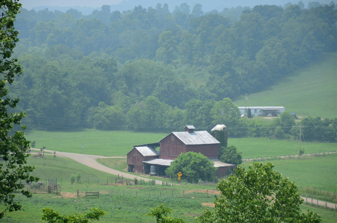 Top and Best Poster Design Agencies and Companies in Old Bridge, New Jersey