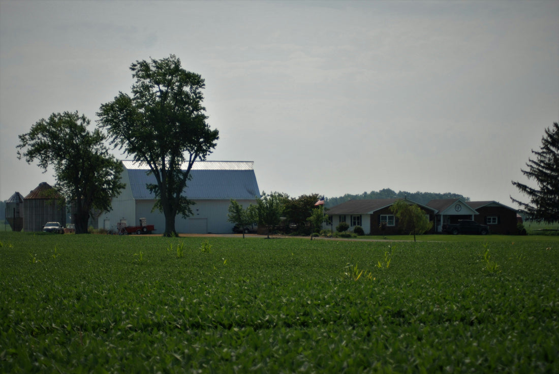 Top and Best Custom Graphics for Videos Agencies and Companies in Old Bridge, New Jersey