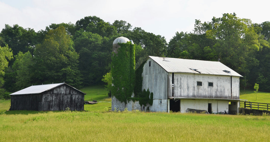 Top and Best Instagram Management Agencies and Companies in Old Bridge, New Jersey