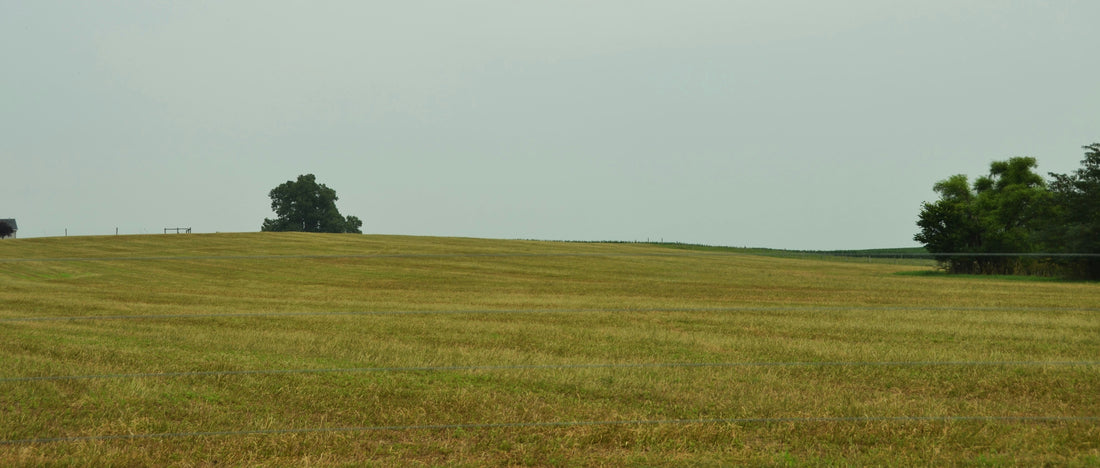 Top and Best Copywriting Agencies and Companies in Box Elder, South Dakota