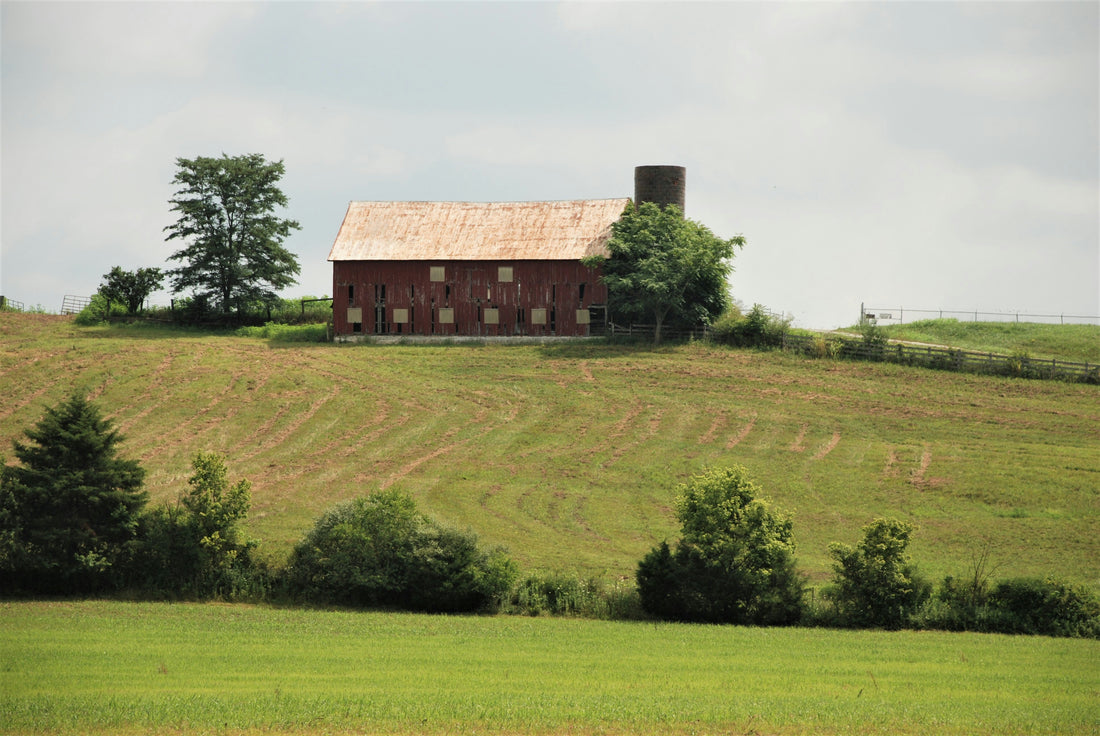 Top and Best Stationery Design Agencies and Companies in Old Bridge, New Jersey