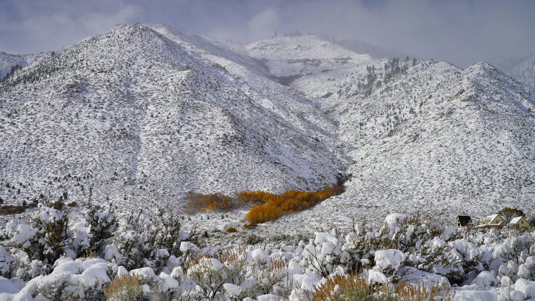 Top and Best Logo Design Agencies and Companies in Carson City, Nevada