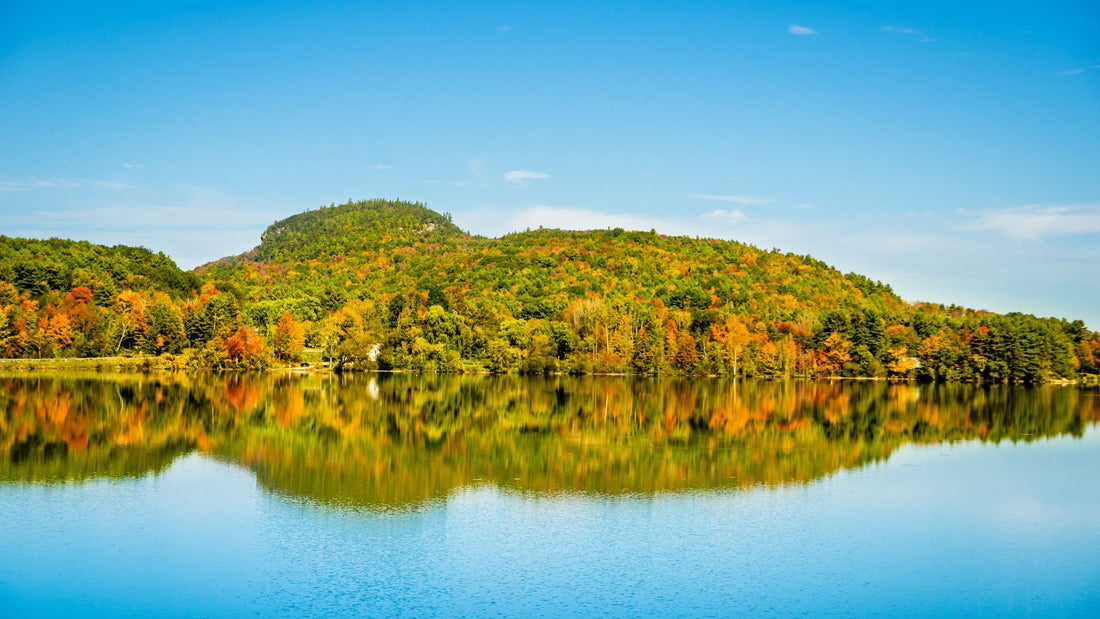 Top or Best NFT Art Agencies and Companies in Milton, Vermont