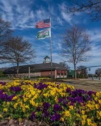 Top or Best Postcard Design Agencies and Companies in Smyrna, Georgia