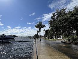 Top or Best Cartoons and Comics Agencies and Companies in St. Petersburg, Florida